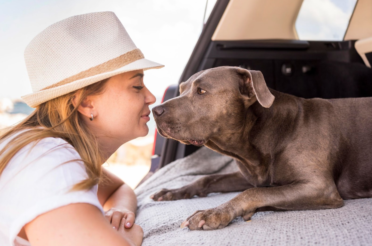 How to Teach Your Dog to Kiss